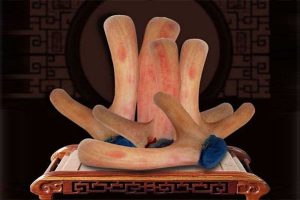 tác dụng của lộc nhung hươu