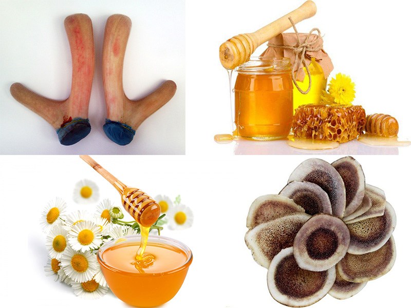 nhung hươu điều hòa khí huyết, bổ máu