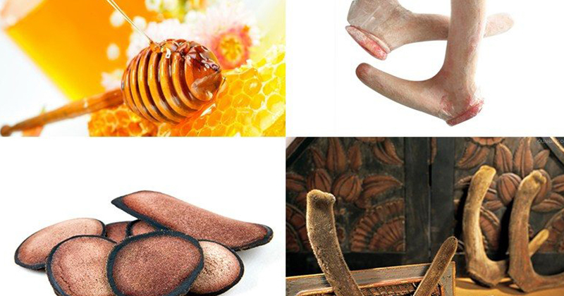 Cách làm nhung hươu tươi ngâm mật ong